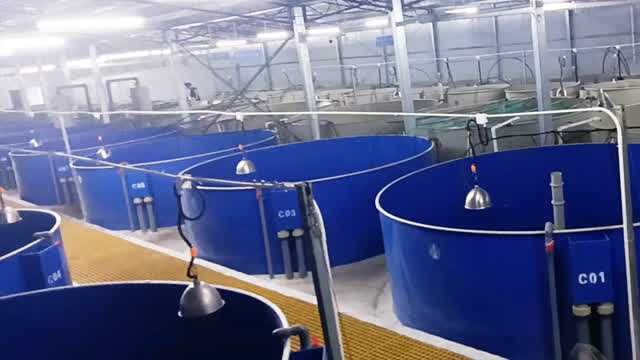 Best Ras system aquaculture equipment fish for fish farm indoor aquaculture ras systems - eWater