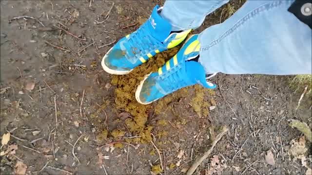 Jana walks through the forest and kicks horse droppings with her Adidas Top Ten trailer