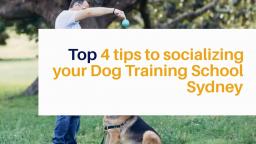 Top 4 Tips To Socializing Your Dog Training School Sydney