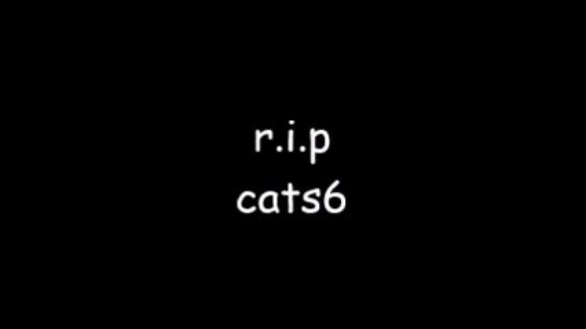 Rip Cats6 Vidlii - 