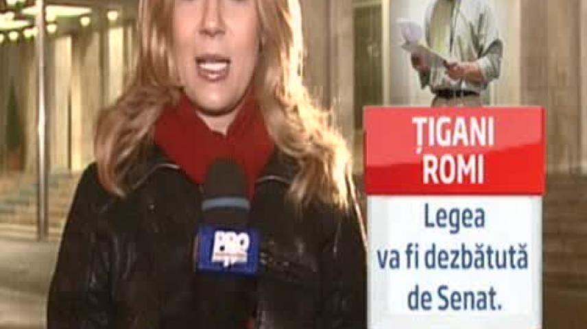 Pro Tv Stiri Despre Legea Cu Romi Vs Tigani Vidlii