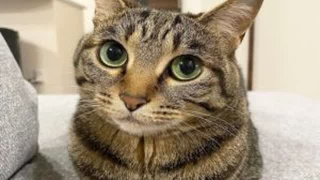 BV SOURCE LEAK 2026 BV SOURCE LEAK 2026