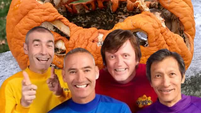 THE WIGGLES' SWELL SPOOKY SEXY HALLOWEEN ROMP RATED PG-13 THE WIGGLES' SWELL SPOOKY SEXY HALLOWEEN ROMP RATED PG-13