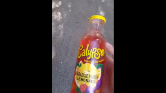 Calypso kid