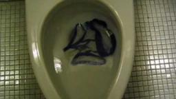 Boys scooby doo underwear flushed down the toilet
