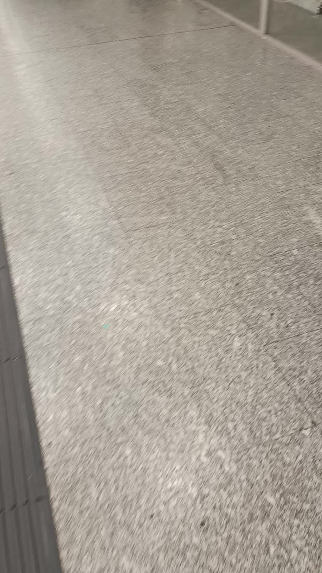 Brussels is a 3rd world pisslamist nigger shithole Brussels is a 3rd world pisslamist nigger shithole