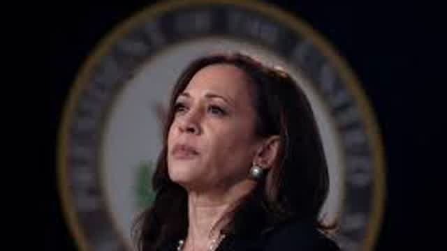 lady liberty kamala harris acts like a king