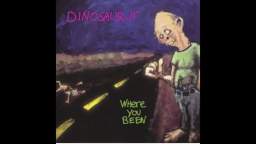 Dinosaur Jr. - Not The Same