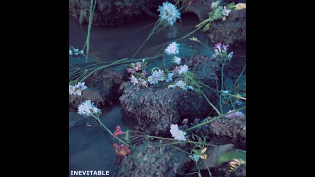 Rosamonte - Inevitable (Full Album) Rosamonte - Inevitable (Full Album)