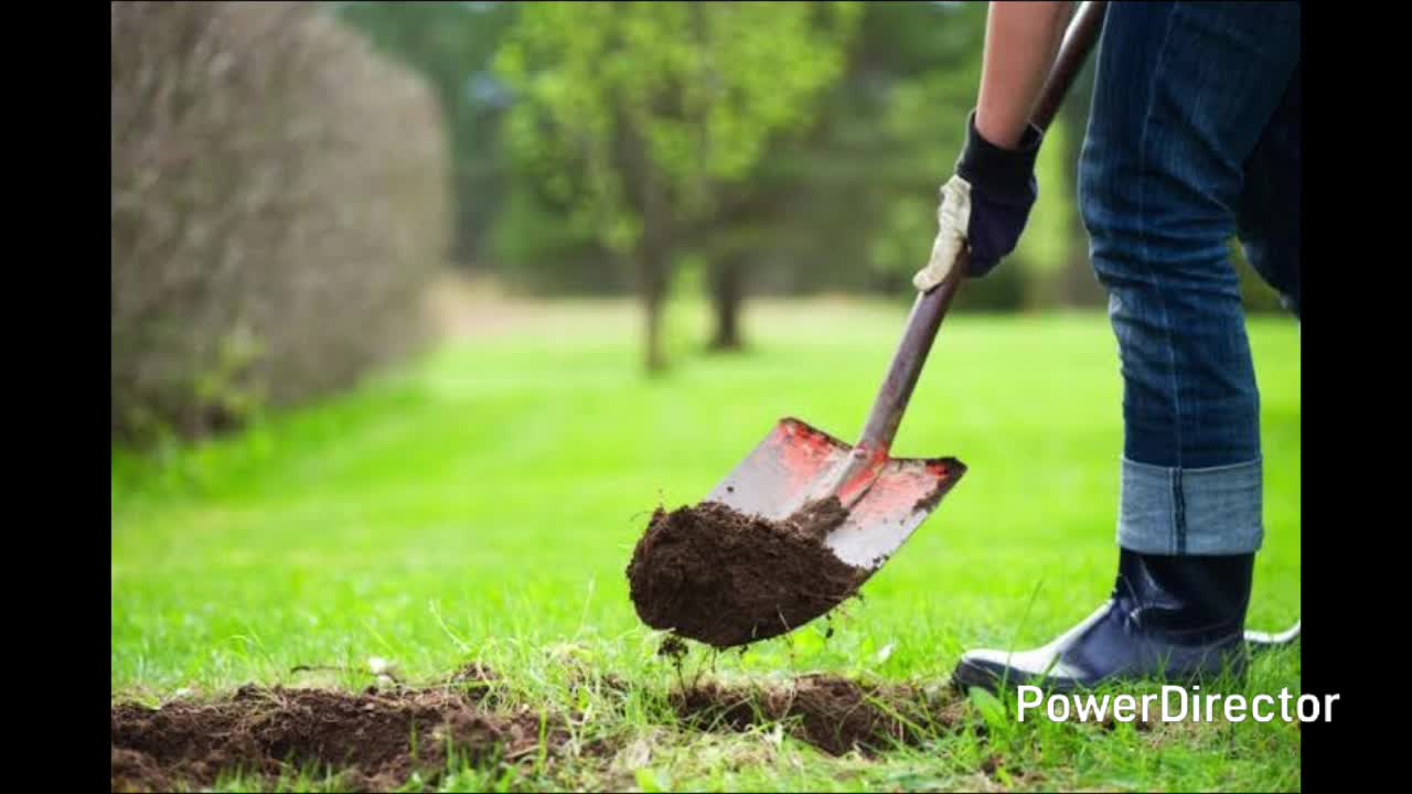 Critica destructiva a los therians Critica destructiva a los therians