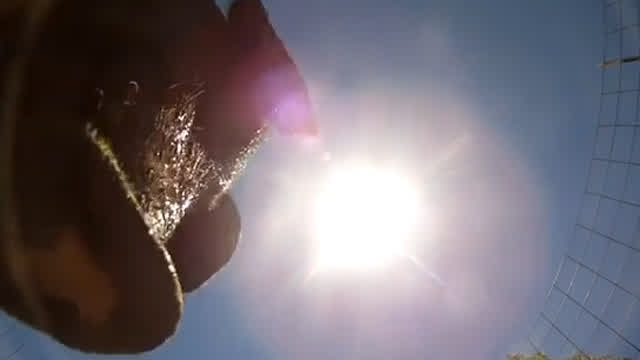 CAMERA FALLS FROM PLANE AND ENDS UP INSIDE PIG [WATCH TO THE END]