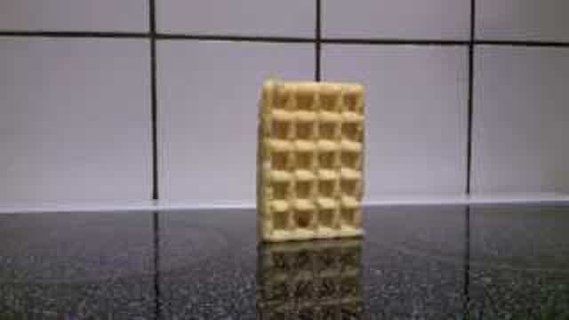 Waffle falling over Waffle falling over
