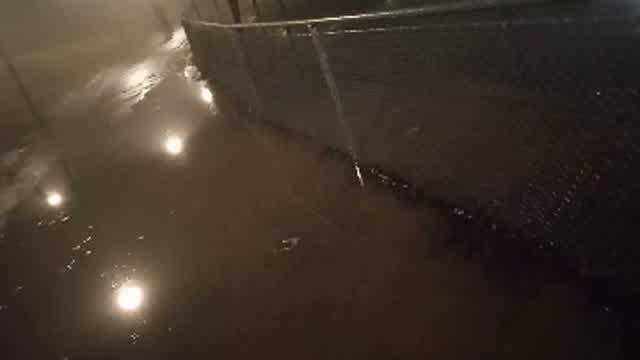 This is Real music This is Real music