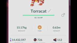 Pokémon GO-Evolving Shiny Litten