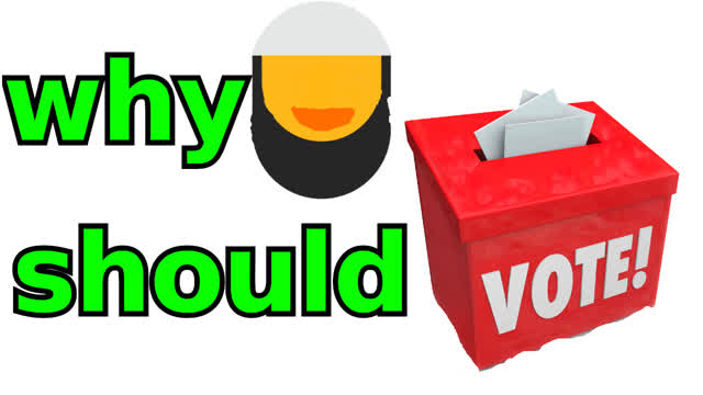 why muslims should vote