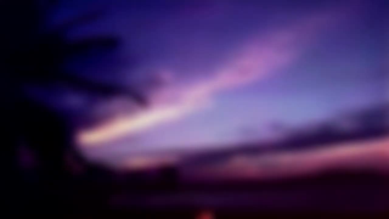 猫acapulco dreams宇宙双子 猫acapulco dreams宇宙双子