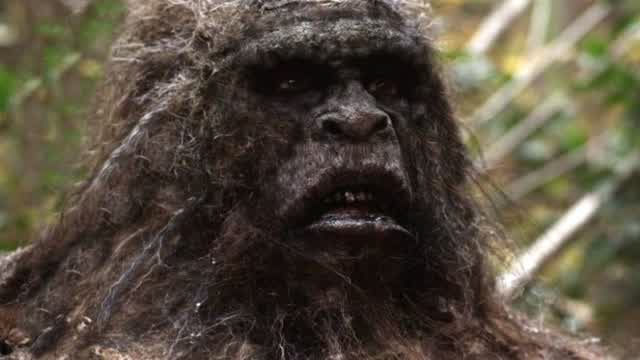 ? Did Bigfoot Exist ?