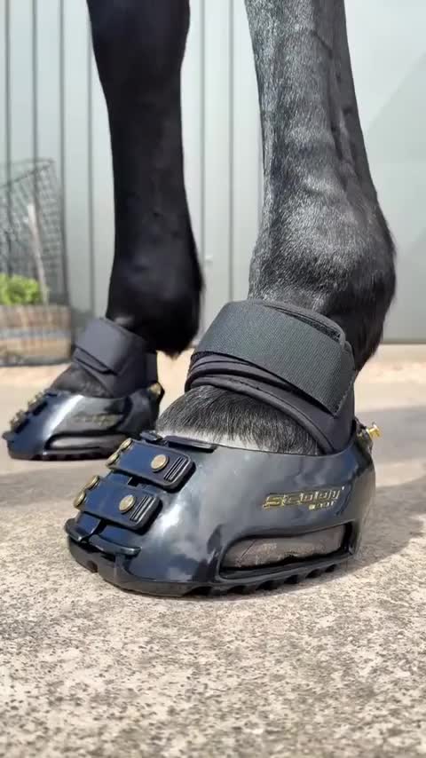 Horseshoes just got gangsta 🐴😎 Horseshoes just got gangsta 🐴😎