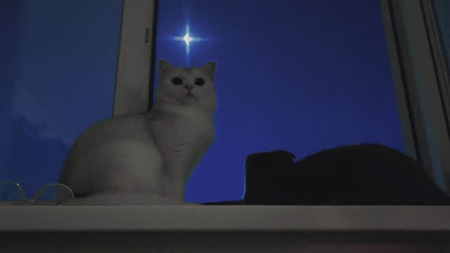 Skip & Potion - Prayer for Life Skip & Potion - Prayer for Life