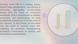 Potato Tube Manufacturer | High-Quality Snack Pellets from Crunchy Food FZE