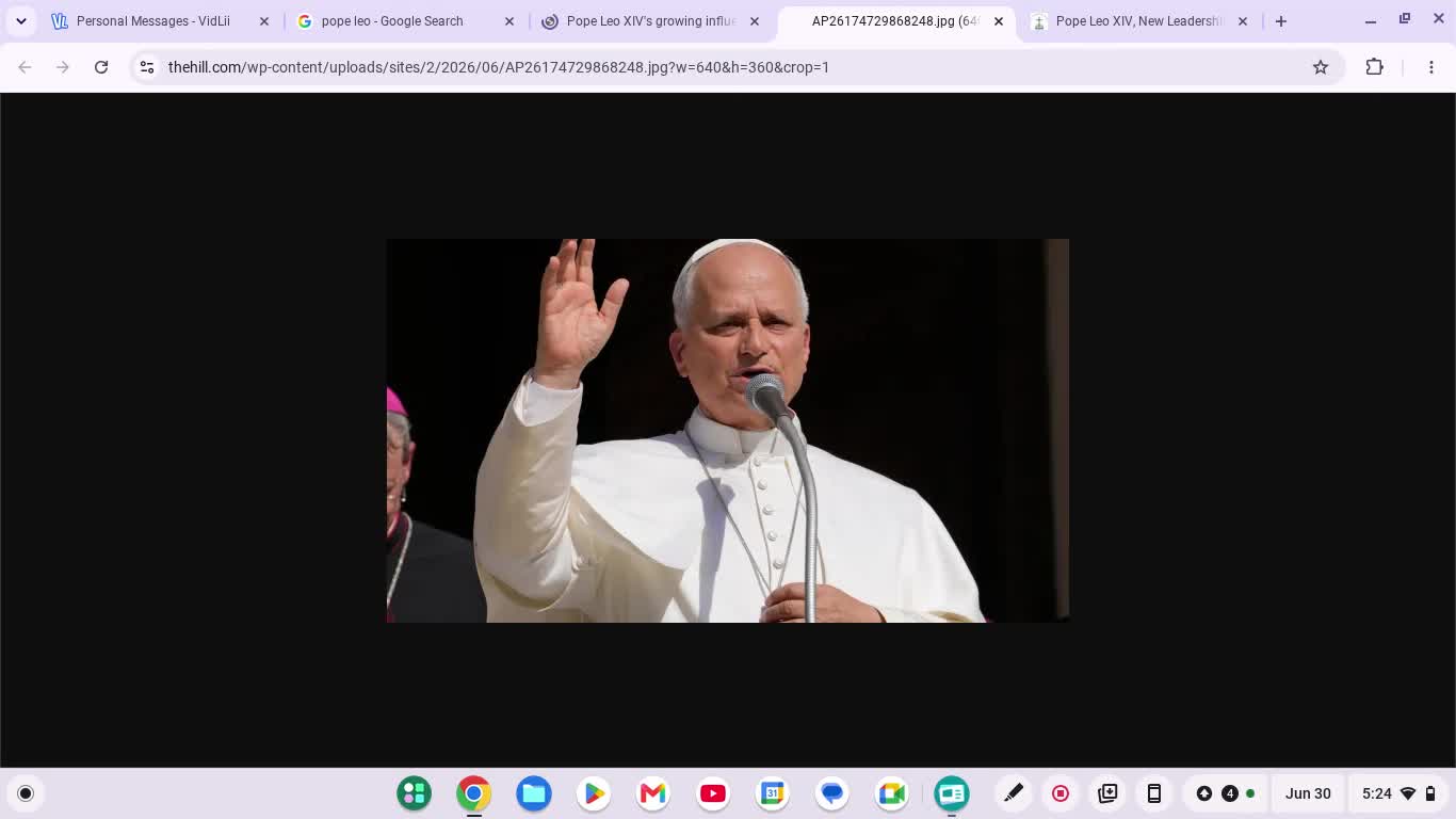 I can't stand Pope Leo 14th The Climate Change Responsibler. Voice Sound Like Socks Eating Lunatic! I can't stand Pope Leo 14th The Climate Change Responsibler. Voice Sound Like Socks Eating Lunatic!