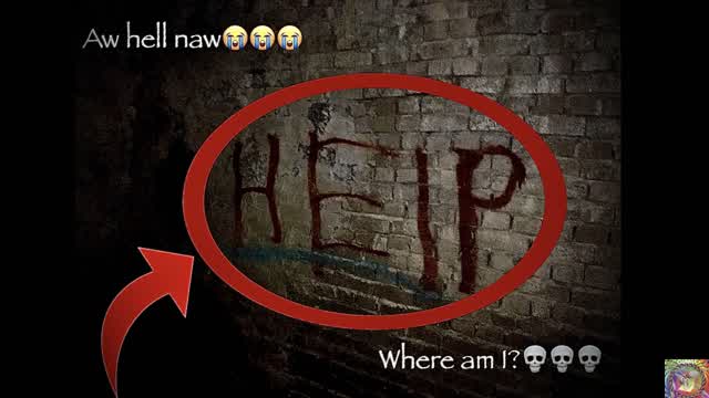 Pussy explores SCARY TUNNELS!! Pussy explores SCARY TUNNELS!!