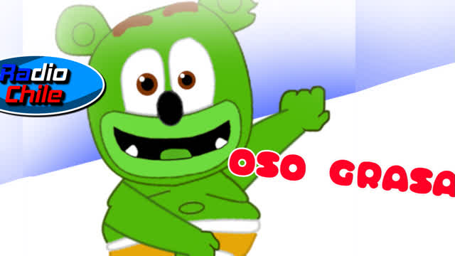 oso grasa