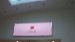 Mall banners that 50% of their ads are for mcdonalds and the other 50% is ads made by the mall staff