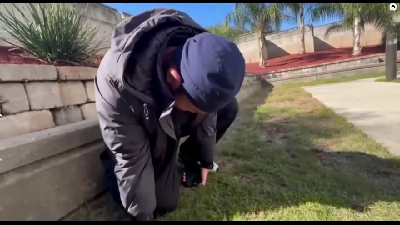 c/freddiebeans2 OG IP2 IRL edit c/freddiebeans2 OG IP2 IRL edit
