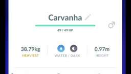 Pokémon GO-Purifying Shadow Carvanha