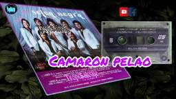 Camaron pelao SELVA NEGRA 14 hits