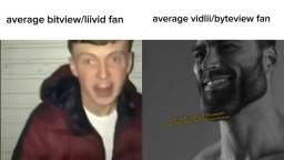 Average bitview/liivid fan vs vidlii/byteview enjoyer