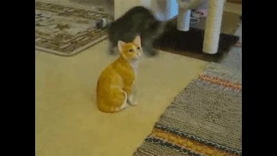 What is the maximum length of a video title on Vidlii? Let's find out. AGGA NAGGA TOGA TEEGA AGGA NA What is the maximum length of a video title on Vidlii? Let's find out. AGGA NAGGA TOGA TEEGA AGGA NA