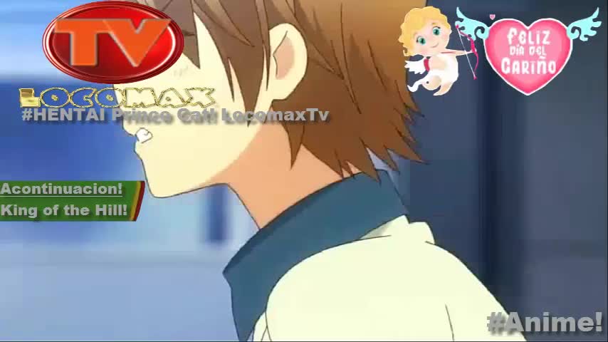 LocomaxTv Bolivia Anime Febrero 2025