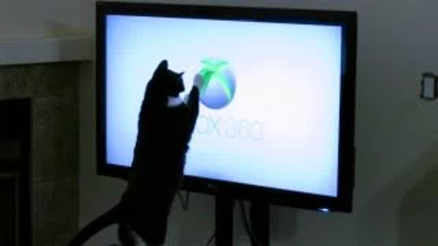 Cat Attacks XBOX 360 Logo Cat Attacks XBOX 360 Logo