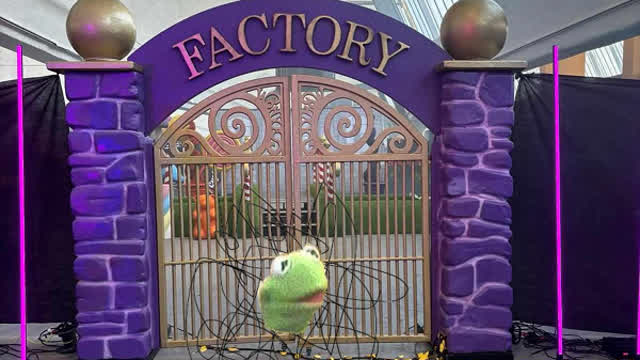 Pube Muppet goes to Willy's Chocolate Experience