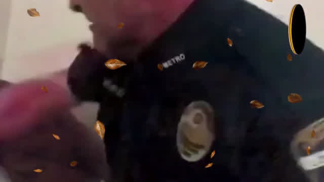 Nigger Police Brutality