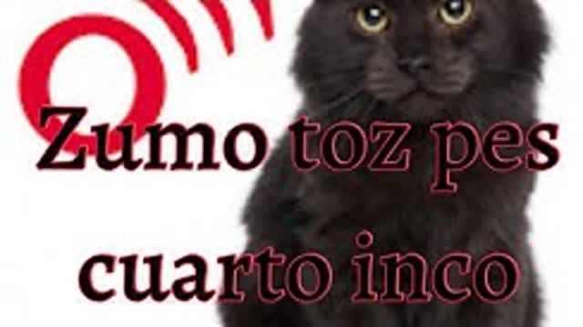 Zumo Toz Pes Cuatro Inco