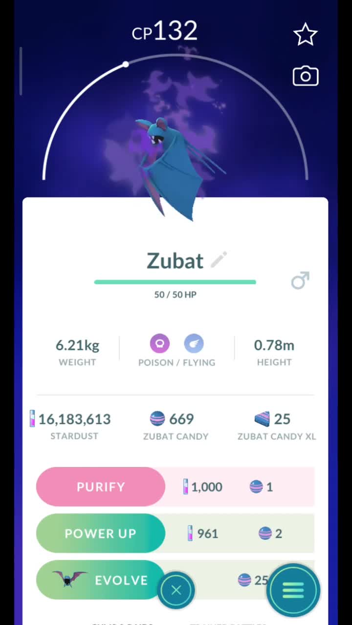 Pokémon GO-Purifying Shadow Zubat