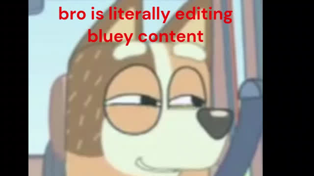 funny paused edited moments in bluey part 1