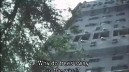 Why do trees..