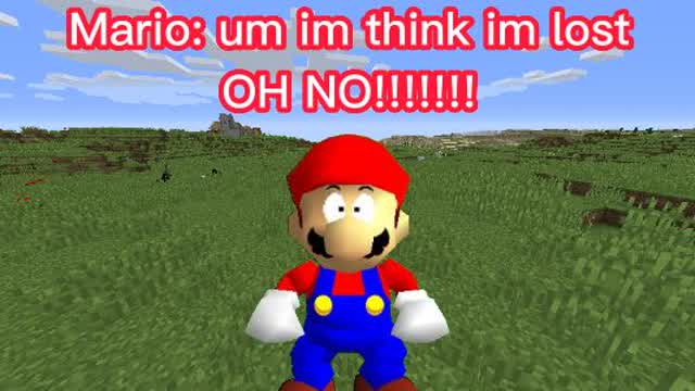 Mario gets lost Mario gets lost