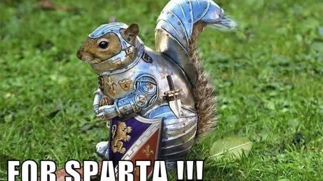 THIS IS SPARTA!!!!!!!!!!!!!!!!!!!!!!!!!!!!!!!!!!!!!!!!!!!!!!!!!!