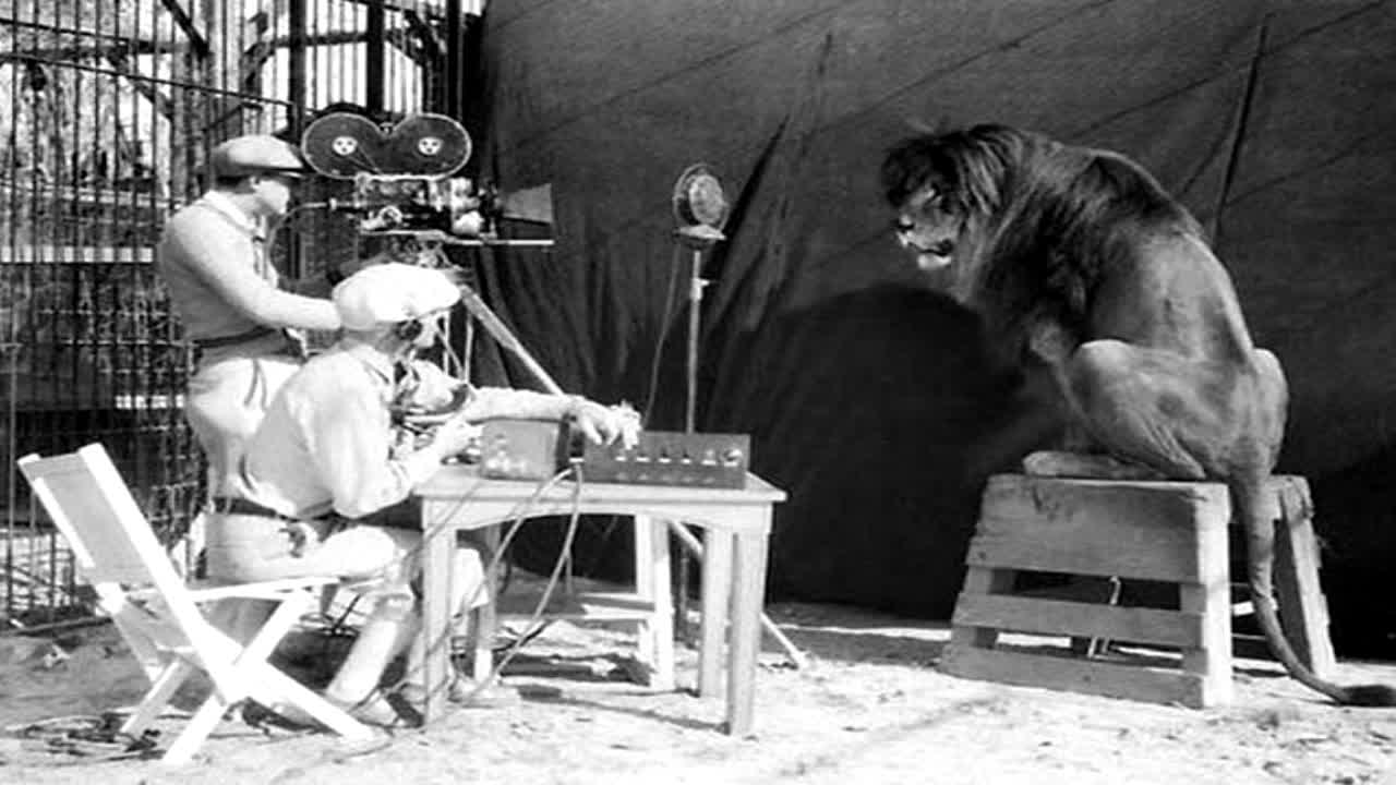 Al Storm & Euphony - Ruffin Hardcore Al Storm & Euphony - Ruffin Hardcore