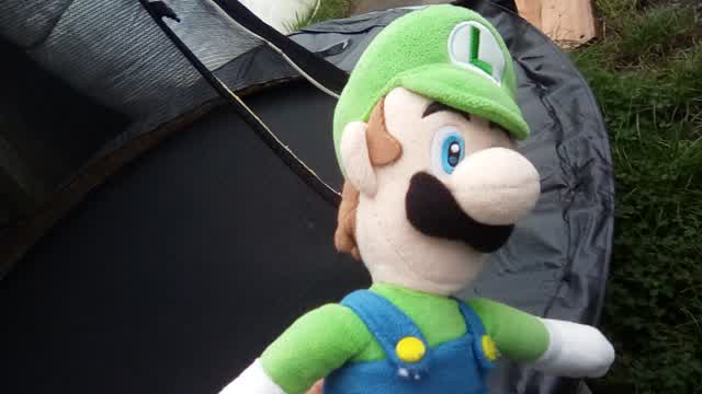 Luigi's Trampoline Mayhem!