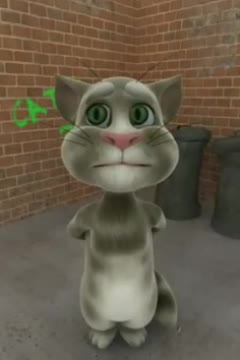 talkingtomthecat talkingtomthecat