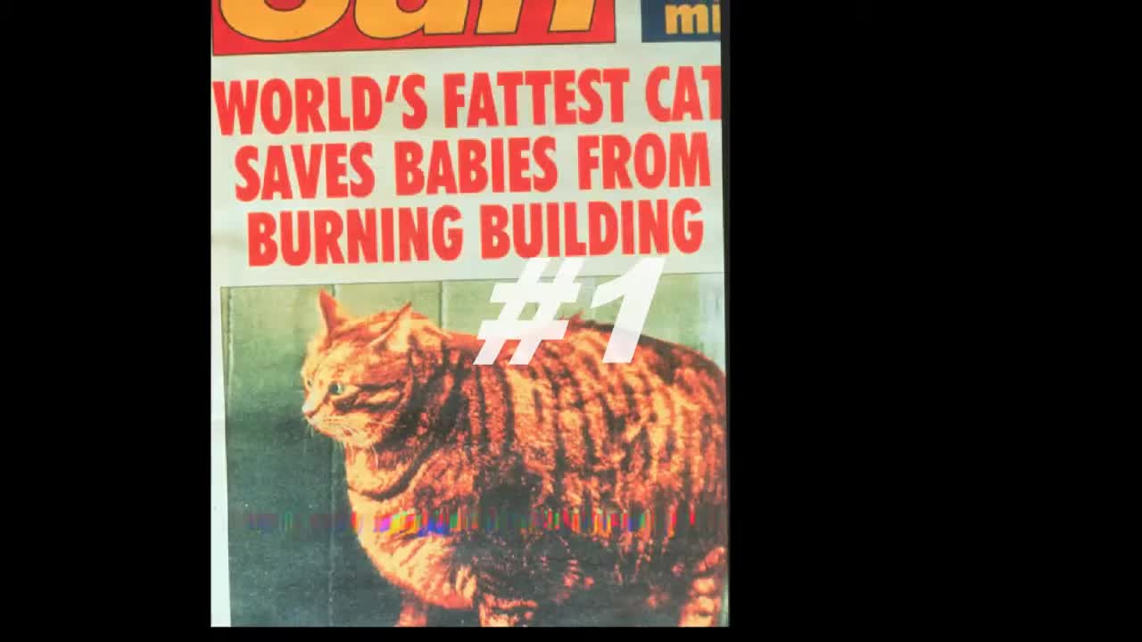 4chan Otakon 2005 intro 4chan Otakon 2005 intro