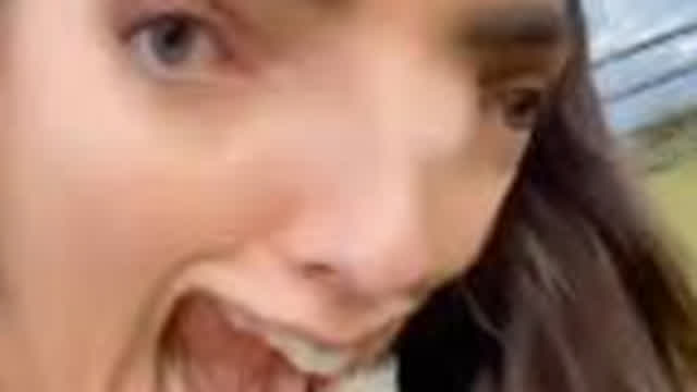 oh look a dandelion oh look a dandelion