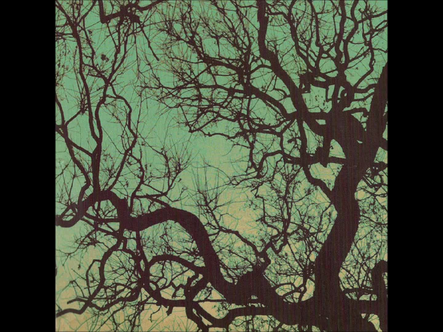 Föllakzoid - Sky Input Pt 2 Föllakzoid - Sky Input Pt 2