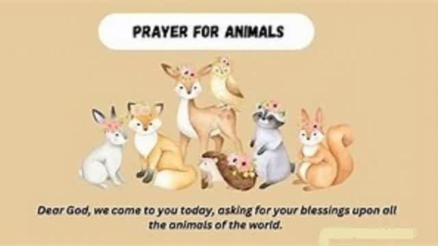 Praying for Animals ?